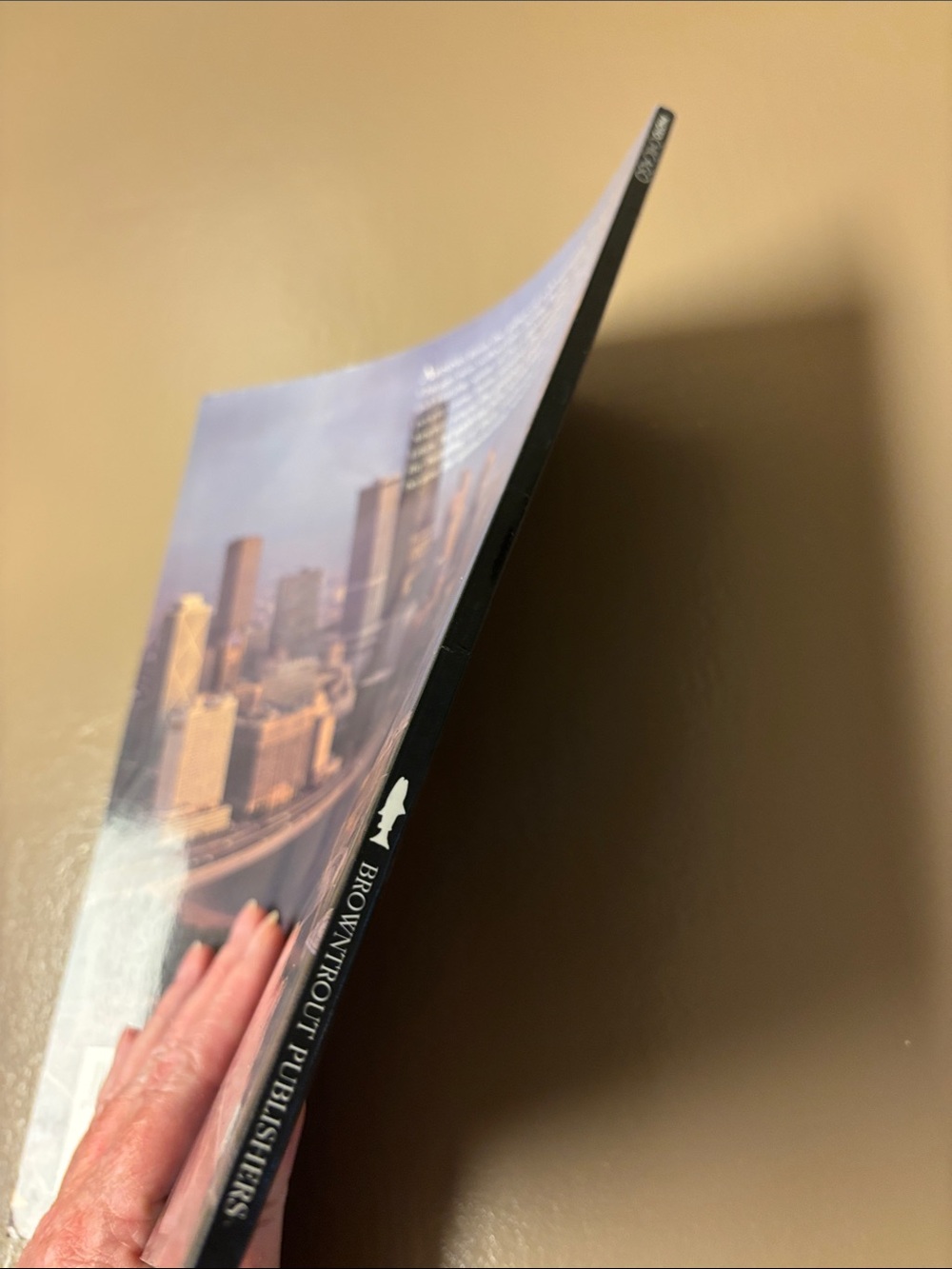 Photo Chicago Book - Picture 3 of 9